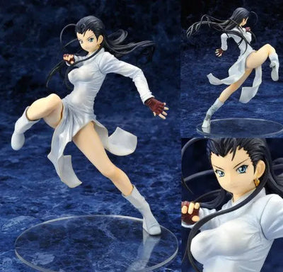 Ikki Tousen Great Guardians - Kakouen Myousai - 1/8 (Alter)ㅤ – Alter – ActionFigure Brasil