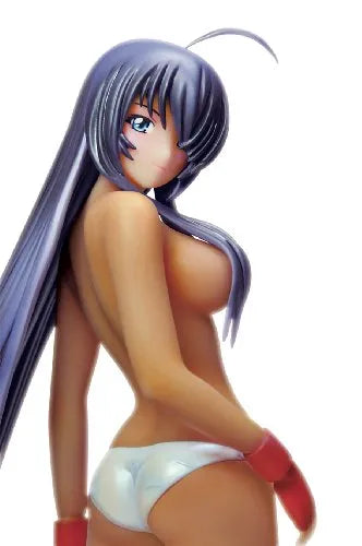 Ikki Tousen Great Guardians - Kan'u Unchou - Skytube - 1/8 - Perfect body ver. (Alphamax)ㅤ – Alphamax – ActionFigure Brasil