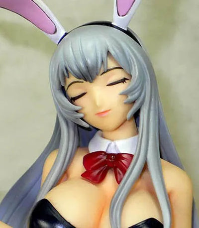 Ikki Tousen Xtreme Xecutor - Chouun Shiryuu - 1/6 - Bunny Girl ver. (Amie-Grand)ㅤ – Amie Grand – ActionFigure Brasil — acessórios