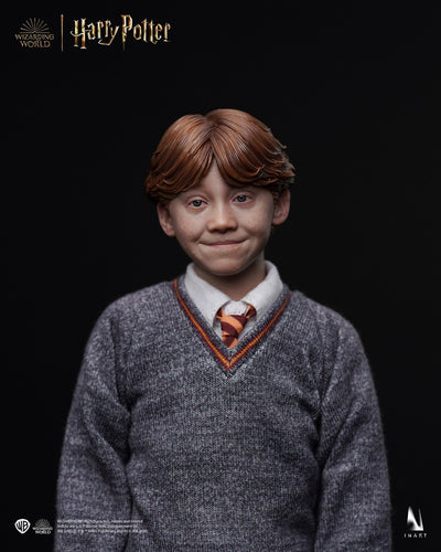 Harry Potter and the Philosopher’s Stone - Ron Weasley (Standard Version) A010S1