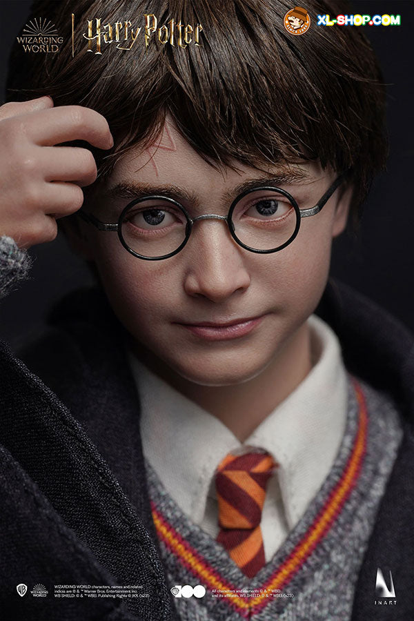 Harry Potter and the Philosopher’s Stone - Harry Potter (Hogwarts Uniform) (Premium Version) A006P1