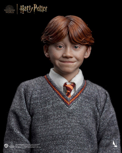 Harry Potter and the Philosopher’s Stone - Ron Weasley (Standard Version) A010S1