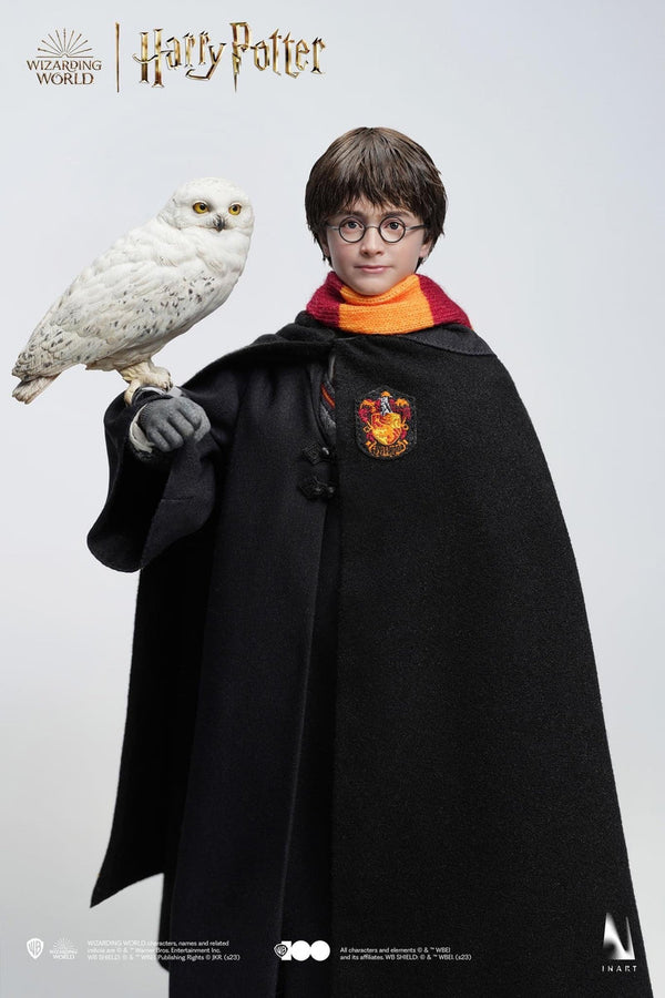 Harry Potter and the Philosopher’s Stone - Harry Potter (Hogwarts Uniform) (Premium Version) A006P1
