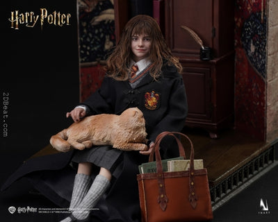 Harry Potter and the Philosopher’s Stone - Hermione Granger (Deluxe Version) A011