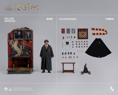 Harry Potter and the Philosopher’s Stone - Ron Weasley (Deluxe Version) A010D1