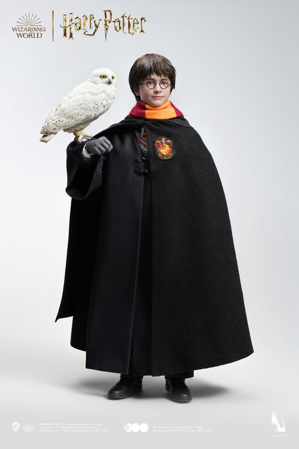 Harry Potter and the Philosopher’s Stone - Harry Potter (Hogwarts Uniform) (Premium Version) A006P1