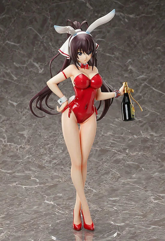 IS: Infinite Stratos - Shinonono Houki - B-style - 1/4 - Bare Leg Bunny Ver. (FREEing)ㅤ – FREEing – ActionFigure Brasil