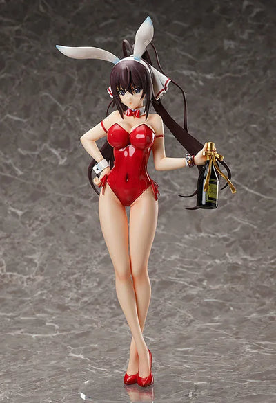 IS: Infinite Stratos - Shinonono Houki - B-style - 1/4 - Bare Leg Bunny Ver. (FREEing)ㅤ – FREEing – ActionFigure Brasil — com base expositora