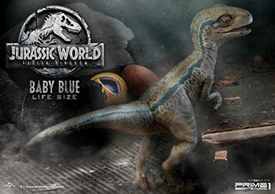 Jurassic World: Fallen Kingdom - Blue - Legacy Museum Collection LMCJW2-02 - 1/1 - Baby (Prime 1 Studio)ㅤ – Prime 1 Studio – ActionFigure Brasil