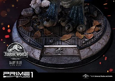 Jurassic World: Fallen Kingdom - Blue - Legacy Museum Collection LMCJW2-02 - 1/1 - Baby (Prime 1 Studio)ㅤ – Prime 1 Studio – ActionFigure Brasil — close