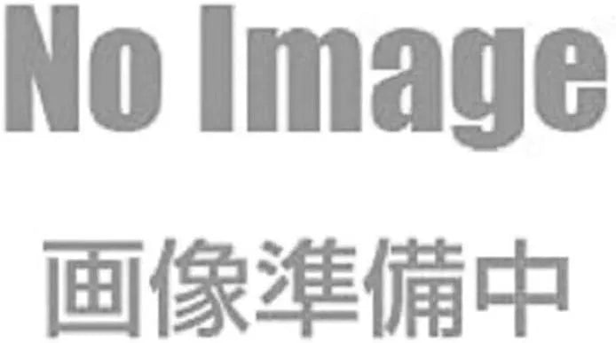 Kusuriya no Hitorigoto - Maomao - Vivit Figure (System Service)ㅤ – System Service – ActionFigureBrasil