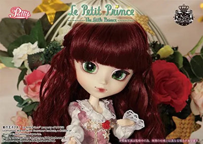 Le Petit Prince - La Rose - Pullip - Pullip (Line) P-161 - 1/6 - Le Petit Prince x ALICE and the PIRATES (Groove)ㅤ – Groove – ActionFigure Brasil — ambientada