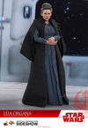 Leia Organa [HOT TOYS]