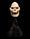 SKULL OF LURTZ™