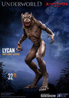 Lycan