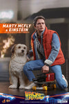 Marty McFly and Einstein (Exclusive) [HOT TOYS]