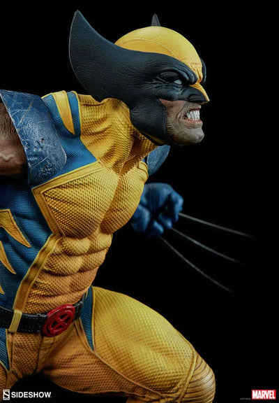 Marvel Comics - Premium Format Figure: Wolverineㅤ – Sideshow Collectibles – ActionFigure Brasil — close