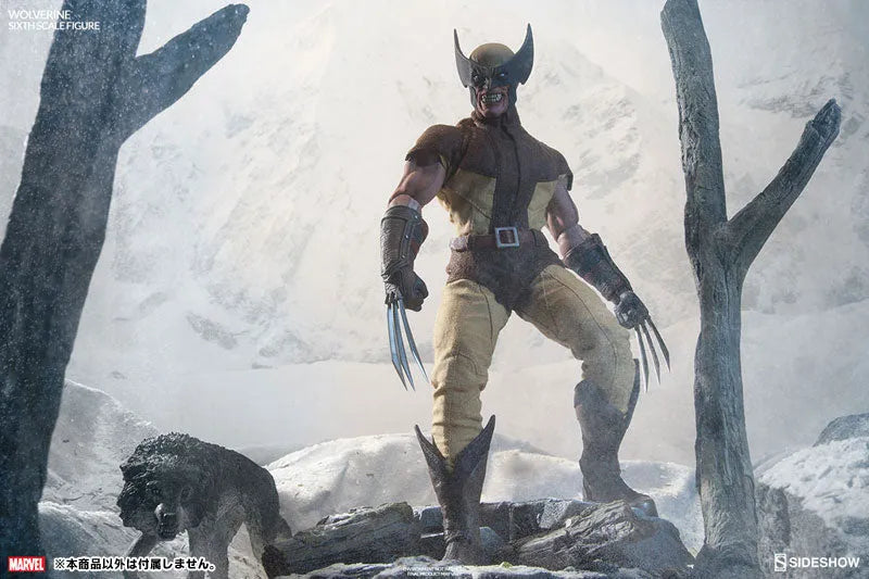 Marvel Comics - SideShow Sixth Scale #003 Wolverineㅤ – Sideshow Collectibles – ActionFigure Brasil