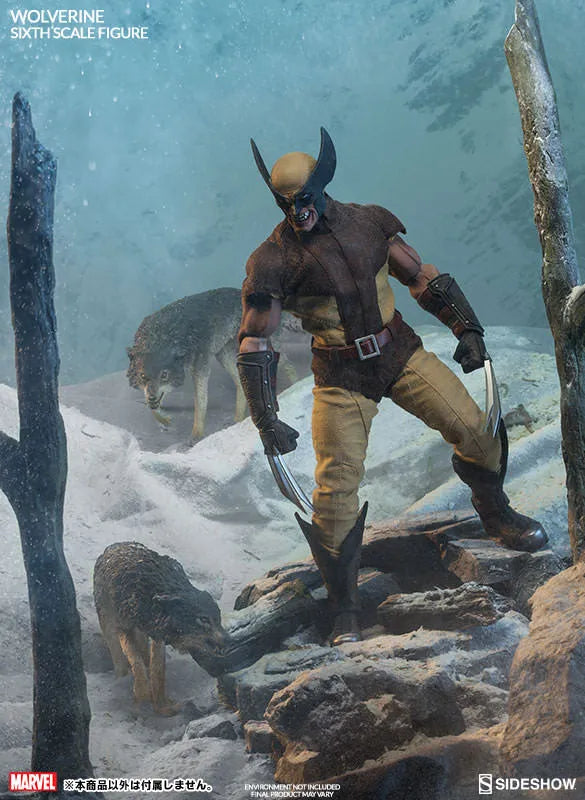 Marvel Comics - SideShow Sixth Scale #003 Wolverineㅤ – Sideshow Collectibles – ActionFigure Brasil