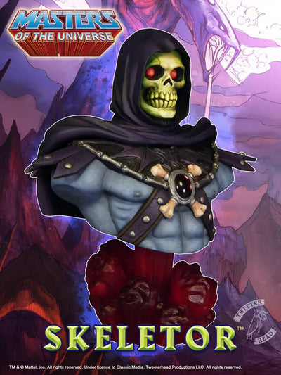 Masters of the Universe - Bust: Skeletorㅤ – Puella Magi Madoka Magica – ActionFigureBrasil — ângulo diferente
