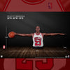 Michael Jordan "Wings" - LIMITED EDITION: 200 (Pré-venda) - ActionFigure Brasil