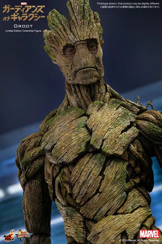 Movie Masterpiece - Guardians of the Galaxy 1/6 Scale Figure: Grootㅤ – Gantaku – ActionFigureBrasil