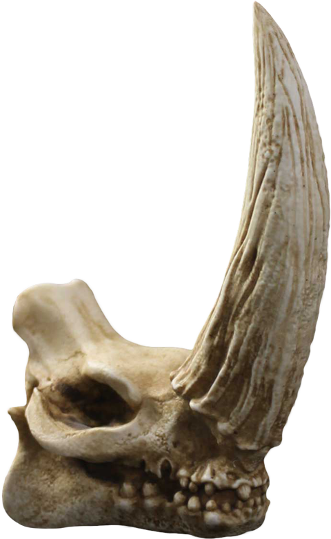 Mudhorn Skull – Regal Robot – ActionFigure Brasil