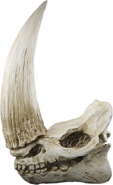 Mudhorn Skull Wall Decor – Regal Robot – ActionFigure Brasil