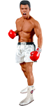 Muhammad Ali