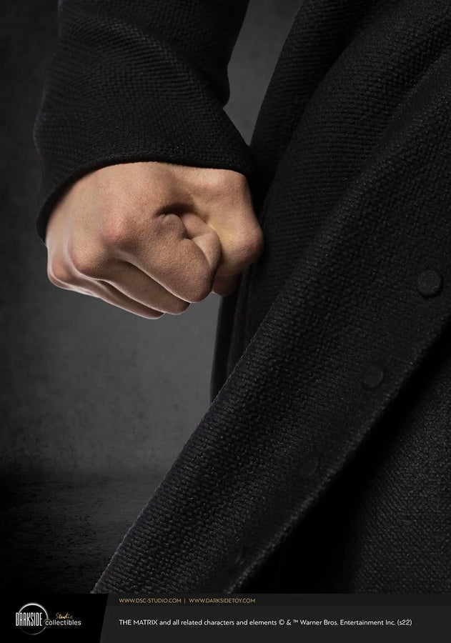 Neo - LIMITED EDITION: TBD – DarkSide Collectibles Studio – ActionFigure Brasil
