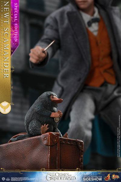 Newt Scamander Special Edition [Pronta Entrega]