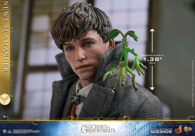 Newt Scamander Special Edition [Pronta Entrega]