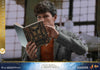 Newt Scamander (Exclusive) [HOT TOYS]