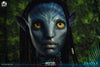 Neytiri (Elite) - LIMITED EDITION: TBD (Premium Edition) (Pré-venda) - ActionFigure Brasil