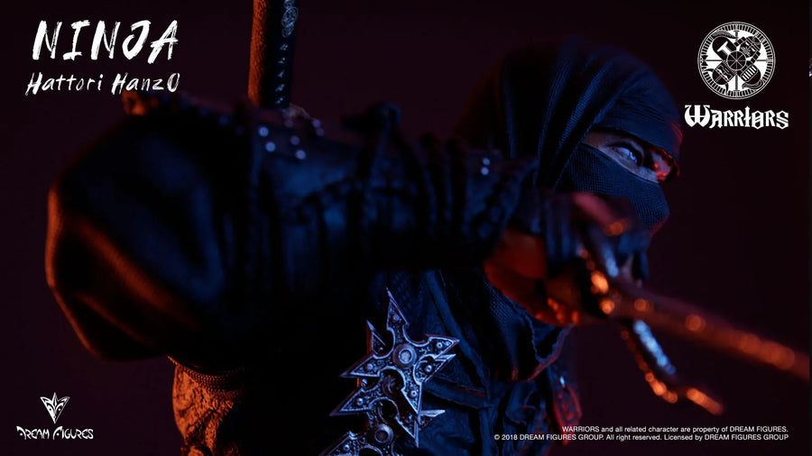 Ninja - LIMITED EDITION: 70 – Dream Figures – ActionFigure Brasil