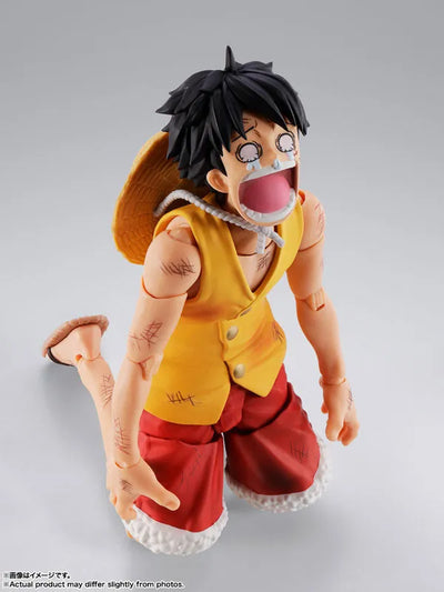 One Piece - Monkey D. Luffy - S.H.Figuarts - Marineford (Bandai Spirits)ㅤ – Bandai Spirits – ActionFigure Brasil — iluminação de estúdio