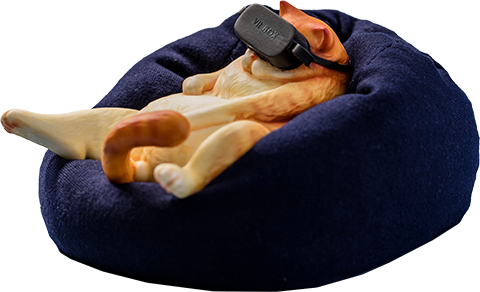 Orange Cat – Manas SUM – ActionFigure Brasil