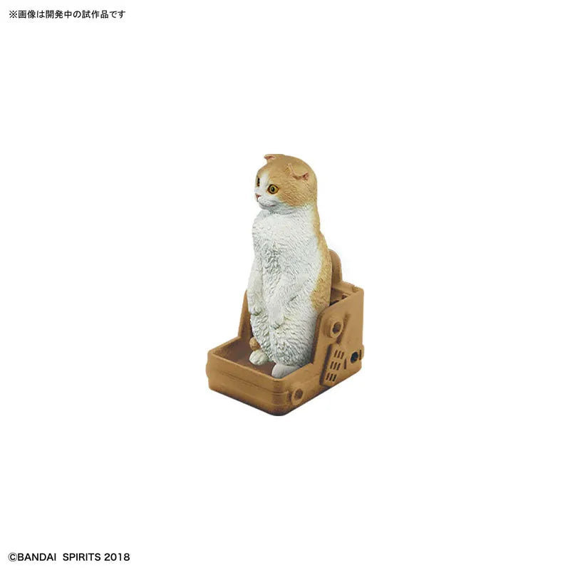 Original Character - Neko Busou 2 - Scottish Fold - Tenkomori (Bandai)ㅤ – Bandai As Manufacturer – ActionFigure Brasil