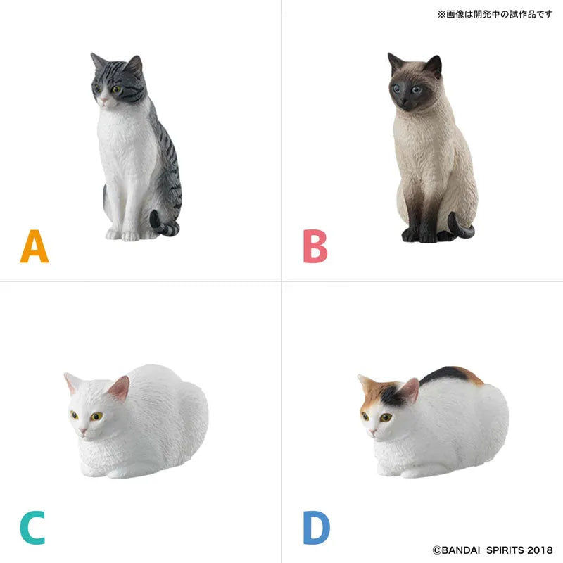 Original Character - Neko Busou - NekoBusou 2 Namimori A - Shirosaba (Bandai)ㅤ – Bandai As Manufacturer – ActionFigure Brasil