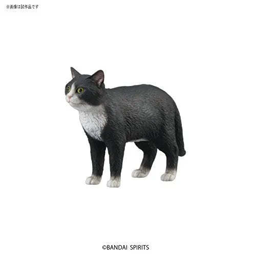 Original Character - Neko Busou - Socks - Tenkomoriㅤ – Bandai – ActionFigure Brasil