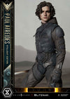 Paul Atreides (Stillsuit Edition) - LIMITED EDITION: 320 (Bonus Version)