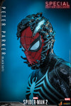 Peter Parker (Black Suit) (Special Edition) (VGM56B)