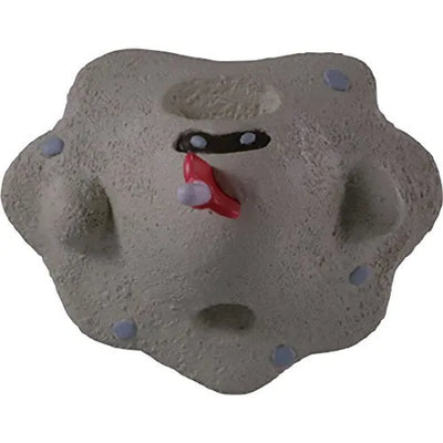 Pocket Monsters Sun & Moon - Sunabaa - Moncolle Ex S - Monster Collection - EMC_34 (Takara Tomy)ㅤ – Takara Tomy – ActionFigureBrasil — detalhe do produto