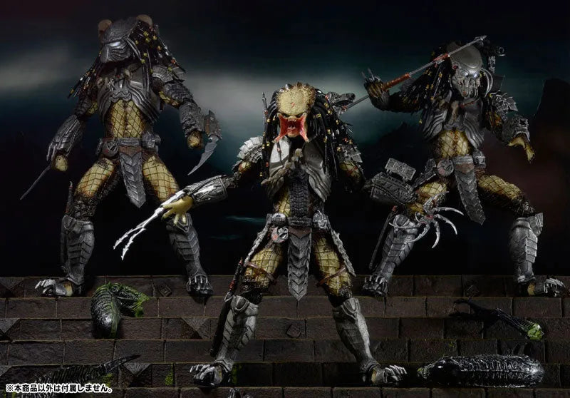 Predator - 7inch Action Figure Series 14 AVP Alien VS. Predator 3Type Setㅤ – Neca – ActionFigure Brasil