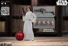 Princess Leia (Collector Edition) [HOT TOYS]