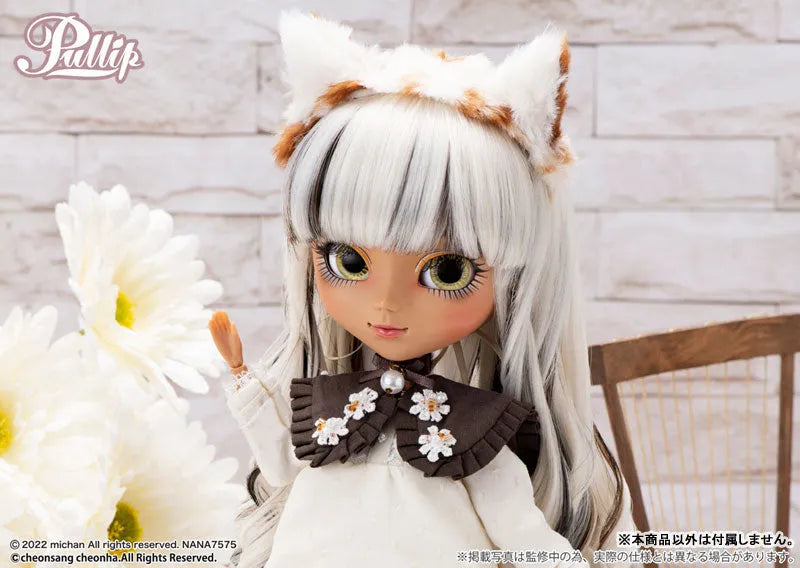 Pullip Nana-chan/Calico ver.ㅤ – Groove – ActionFigure Brasil