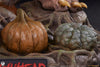 Pumpkinhead - LIMITED EDITION: TBD (Pré-venda)