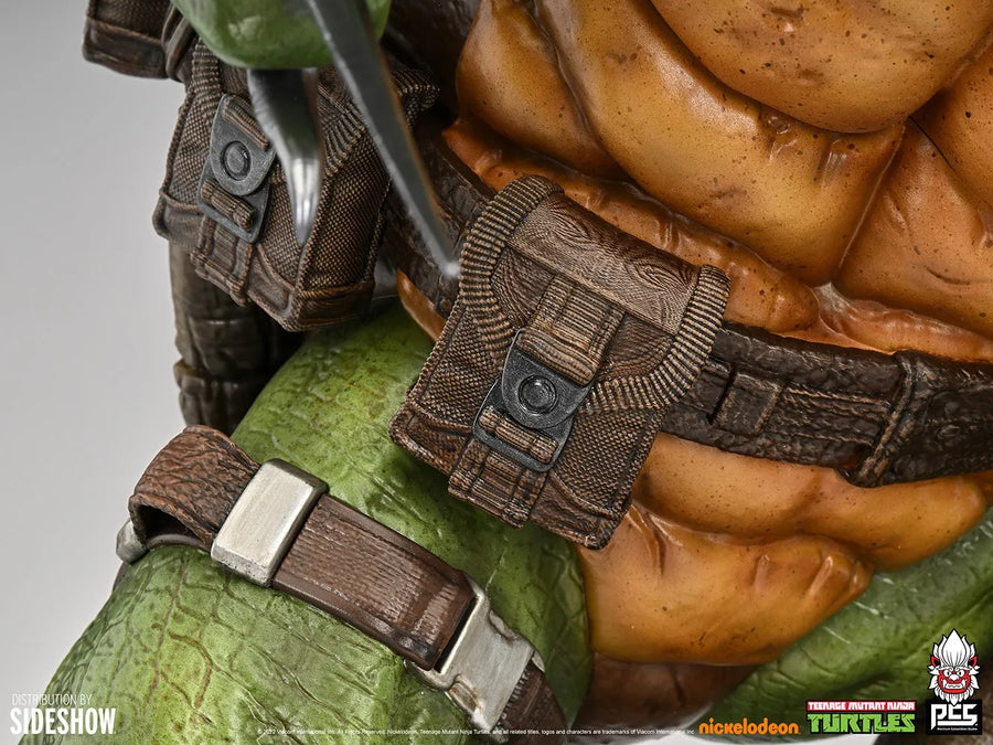 Raphael - LIMITED EDITION: 500 – PCS – ActionFigure Brasil