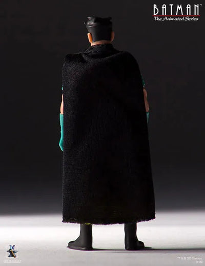 Retro Kenner 12inch Action Figure - Batman: The Animated Series Robinㅤ – Gantaku – ActionFigureBrasil — acessórios