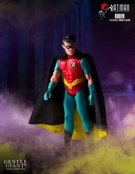Retro Kenner 12inch Action Figure - Batman: The Animated Series Robinㅤ – Puella Magi Madoka Magica – ActionFigureBrasil